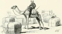 An illustration from Engraved gems; their history and place in art, in which is embodied the author's former treatise, with extensive revisions and additions; reminiscences of travels in the pursuit and acquisition of engraved gems ... to which is added a descriptive list of the author's cabinet of gems, forming a compend of Greek and Roman classics and antiquities .. (1889)