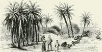An illustration from Engraved gems; their history and place in art, in which is embodied the author's former treatise, with extensive revisions and additions; reminiscences of travels in the pursuit and acquisition of engraved gems ... to which is added a descriptive list of the author's cabinet of gems, forming a compend of Greek and Roman classics and antiquities .. (1889)