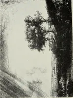 An illustration from Engravers and etchers : six lectures delivered on the Scammon Foundation at the Art Institute of Chicago, March 1916 (1917)