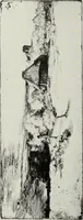 An illustration from Engravers and etchers : six lectures delivered on the Scammon Foundation at the Art Institute of Chicago, March 1916 (1917)