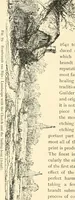 An illustration from Engraving and etching : a handbook for the use of students and print collectors (1907)