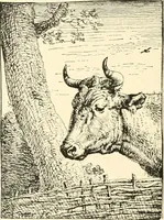 An illustration from Engraving and etching : a handbook for the use of students and print collectors (1907)