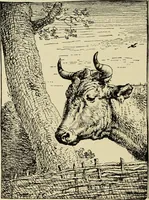 An illustration from Engraving and etching; a handbook for the use of students and print collectors (1906)