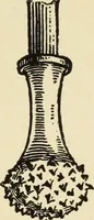 An illustration from Engraving and etching; a handbook for the use of students and print collectors (1906)
