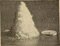 Picture 120 of 288 from Engraving and printing methods, advertisement illustration, technical- and trade-paper advertising, street-car advertising, outdoor advertising, house publications (1909), leaf 260