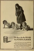 Picture 124 of 288 from Engraving and printing methods, advertisement illustration, technical- and trade-paper advertising, street-car advertising, outdoor advertising, house publications (1909), leaf 263