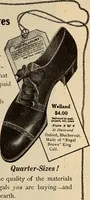 An illustration from Engraving and printing methods, advertisement illustration, technical- and trade-paper advertising, street-car advertising, outdoor advertising, house publications (1909)