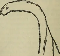An illustration from Enigmas of psychical research (1906)