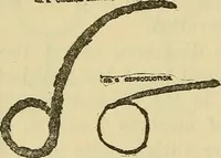 An illustration from Enigmas of psychical research (1906)