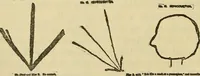 An illustration from Enigmas of psychical research (1906)