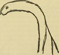 An illustration from Enigmas of psychical research (1906)
