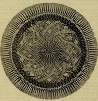 An illustration from Enquire within upon everything : to which is added: enquire within upon fancy needlework ... (1870)