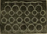 An illustration from Enquire within upon everything : to which is added: enquire within upon fancy needlework ... (1870)
