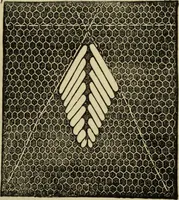 An illustration from Enquire within upon everything : to which is added: enquire within upon fancy needlework ... (1870)