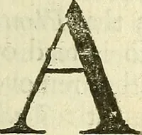 An illustration from Enquiries into human nature : in VI anatomic praelections, in the new theatre of the Royal College of Physicians in London (1680)