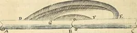 An illustration from Enquiries into human nature : in VI anatomic praelections, in the new theatre of the Royal College of Physicians in London (1680)