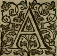An illustration from Enqviries Tovching the diversity of Langvages, and Religions, through the chiefe parts of the World (1635)