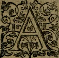 An illustration from Enqviries Tovching the diversity of Langvages, and Religions, through the chiefe parts of the World (1635)