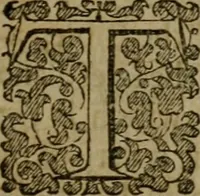 An illustration from Enqviries Tovching the diversity of Langvages, and Religions, through the chiefe parts of the World (1635)