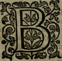 An illustration from Enqviries Tovching the diversity of Langvages, and Religions, through the chiefe parts of the World (1635)