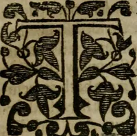 An illustration from Enqviries Tovching the diversity of Langvages, and Religions, through the chiefe parts of the World (1635)