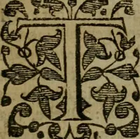 An illustration from Enqviries Tovching the diversity of Langvages, and Religions, through the chiefe parts of the World (1635)