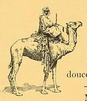 Picture 11 of 17 from En Sahara à travers le pays des Maures nomades (1901), leaf 172