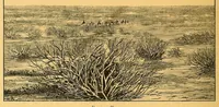 Picture 15 of 17 from En Sahara à travers le pays des Maures nomades (1901), leaf 252