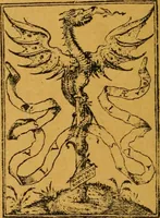 Picture 125 of 243 from Ensayos fotolitograficos (1873), leaf 141