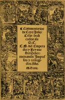 Picture 177 of 243 from Ensayos fotolitograficos (1873), leaf 196