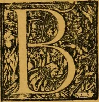 Picture 213 of 243 from Ensayos fotolitograficos (1873), leaf 240