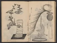 An illustration from Enshū-ryū sōka hyakuhei zushiki : shiki konzatsu (1806)