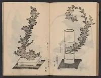 An illustration from Enshū-ryū sōka hyakuhei zushiki : shiki konzatsu (1806)