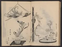An illustration from Enshū-ryū sōka hyakuhei zushiki : shiki konzatsu (1806)