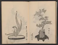 An illustration from Enshū-ryū sōka hyakuhei zushiki : shiki konzatsu (1806)