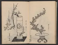 An illustration from Enshū-ryū sōka hyakuhei zushiki : shiki konzatsu (1806)