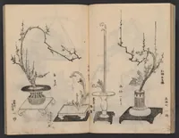 An illustration from Enshū-ryū sōka hyakuhei zushiki : shiki konzatsu (1806)