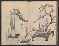 An illustration from Enshū-ryū sōka hyakuhei zushiki : shiki konzatsu (1806)