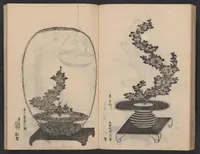 An illustration from Enshū-ryū sōka hyakuhei zushiki : shiki konzatsu (1806)