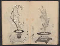 Picture 1 of 13 from Enshū-ryū sōka hyakuhei zushiki : shiki konzatsu (1806), leaf 6