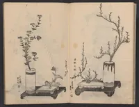 An illustration from Enshū-ryū sōka hyakuhei zushiki : shiki konzatsu (1806)
