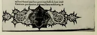 Picture 35 of 35 from En tibi lector Robertum Valturium ... De re militari libris XII : multò emaculatius, ac picturis, quae plurimae in eo sunt, elegantioribus expressum, quàm cùm Veronae ... anno M.cccclxxxiii. inuulgaretur (1534), leaf 408