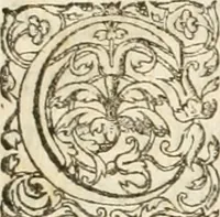 An illustration from Entree de Loys XIII. roy de France et de Navarre dans sa ville d'Arles, le xxix octobre M. DC. XXII. : estans consuls et gouuerneurs de ladicte ville Pierre de Boches & Nicolas Dycard de l'estat des nobles, & Gauchier Peint & Claude Ianim de celuy des bourgeois (1623)