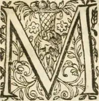 An illustration from Entree de Loys XIII. roy de France et de Navarre dans sa ville d'Arles, le xxix octobre M. DC. XXII. : estans consuls et gouuerneurs de ladicte ville Pierre de Boches & Nicolas Dycard de l'estat des nobles, & Gauchier Peint & Claude Ianim de celuy des bourgeois (1623)