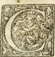 An illustration from Entree de Loys XIII. roy de France et de Navarre dans sa ville d'Arles, le xxix octobre M. DC. XXII. : estans consuls et gouuerneurs de ladicte ville Pierre de Boches & Nicolas Dycard de l'estat des nobles, & Gauchier Peint & Claude Ianim de celuy des bourgeois (1623)