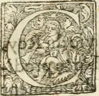 An illustration from Entree de Loys XIII. roy de France et de Navarre dans sa ville d'Arles, le xxix octobre M. DC. XXII. : estans consuls et gouuerneurs de ladicte ville Pierre de Boches & Nicolas Dycard de l'estat des nobles, & Gauchier Peint & Claude Ianim de celuy des bourgeois (1623)