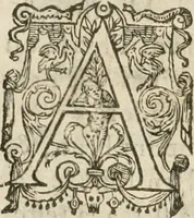 An illustration from Entree de tres haut et tres puissant prince Henry de Bourbon, prince de Condé ... en la ville de Diion, le trentiesme du mois de septembre, mil six cens trente deux (1632)