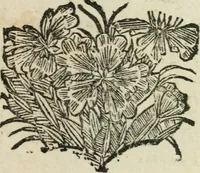 An illustration from Entretiens sur les sciences : dans lesquels on apprend comme l'on se doit servir des sciences, pour se faire l'esprit juste, & le coeur droit : avec la methode d'étudier (1694)