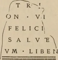 Picture 17 of 20 from Ephemeris Epigraphica; Corporis inscriptionum latinarum supplementum. Edita iussu Instituti archaeologici Romani (1872), leaf 371