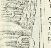 Picture 61 of 103 from Epigrammata antiqvae vrbis .. (1521), leaf 202